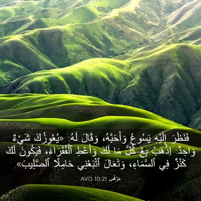Picture 03 - مَرْقُس 10:21 AVD - فَنَظَرَ إِلَيْهِ يَسُوعُ - Bible Verse Picture