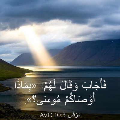 Picture 03 - مَرْقُس 10:3 AVD - فَأَجَابَ وَقَالَ لَهُمْ: - Bible Verse Picture