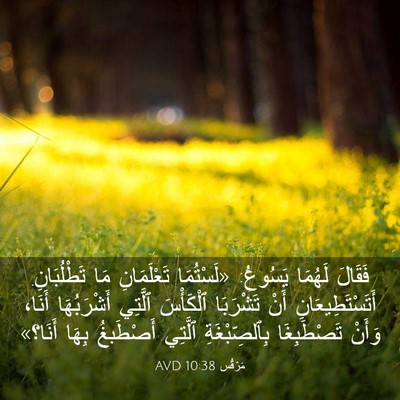 Picture 03 - مَرْقُس 10:38 AVD - فَقَالَ لَهُمَا يَسُوعُ: - Bible Verse Picture