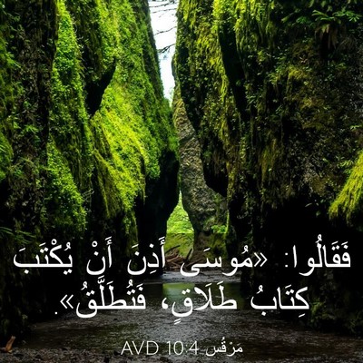 Picture 03 - مَرْقُس 10:4 AVD - فَقَالُوا: «مُوسَى أَذِنَ - Bible Verse Picture