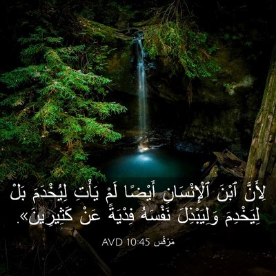 Picture 03 - مَرْقُس 10:45 AVD - لِأَنَّ ٱبْنَ - Bible Verse Picture