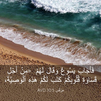Picture 03 - مَرْقُس 10:5 AVD - فَأَجَابَ يَسُوعُ وَقَالَ - Bible Verse Picture