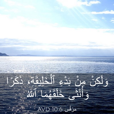 Picture 03 - مَرْقُس 10:6 AVD - وَلَكِنْ مِنْ بَدْءِ - Bible Verse Picture