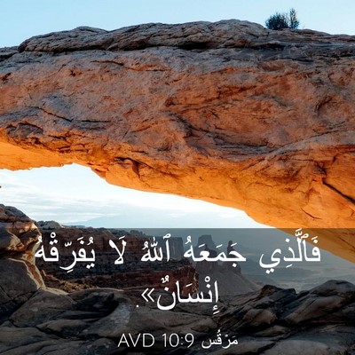 Picture 03 - مَرْقُس 10:9 AVD - فَٱلَّذِي جَمَعَهُ ٱللهُ - Bible Verse Picture