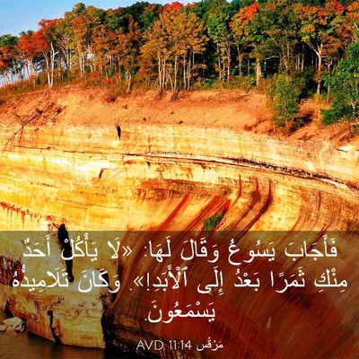 Picture 03 - مَرْقُس 11:14 AVD - فَأَجَابَ يَسُوعُ وَقَالَ - Bible Verse Picture
