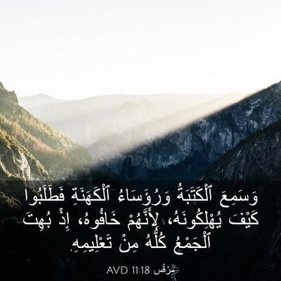 Picture 03 - مَرْقُس 11:18 AVD - وَسَمِعَ ٱلْكَتَبَةُ - Bible Verse Picture