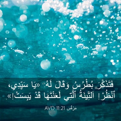 Picture 03 - مَرْقُس 11:21 AVD - فَتَذَكَّرَ بُطْرُسُ - Bible Verse Picture