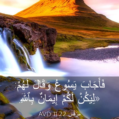 Picture 03 - مَرْقُس 11:22 AVD - فَأَجَابَ يَسُوعُ وَقَالَ - Bible Verse Picture