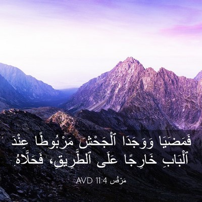 Picture 03 - مَرْقُس 11:4 AVD - فَمَضَيَا وَوَجَدَا - Bible Verse Picture