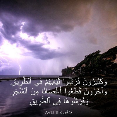 Picture 03 - مَرْقُس 11:8 AVD - وَكَثِيرُونَ فَرَشُوا - Bible Verse Picture