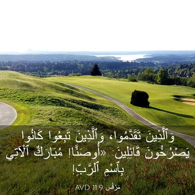 Picture 03 - مَرْقُس 11:9 AVD - وَٱلَّذِينَ تَقَدَّمُوا، - Bible Verse Picture