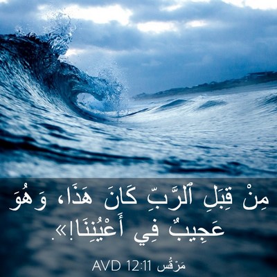 Picture 03 - مَرْقُس 12:11 AVD - مِنْ قِبَلِ ٱلرَّبِّ كَانَ - Bible Verse Picture