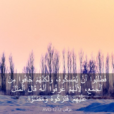 Picture 03 - مَرْقُس 12:12 AVD - فَطَلَبُوا أَنْ - Bible Verse Picture