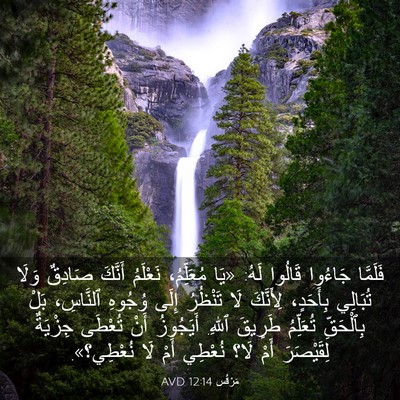 Picture 03 - مَرْقُس 12:14 AVD - فَلَمَّا جَاءُوا قَالُوا - Bible Verse Picture