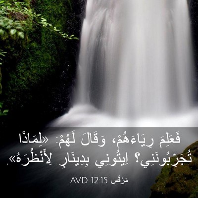 Picture 03 - مَرْقُس 12:15 AVD - فَعَلِمَ رِيَاءَهُمْ، - Bible Verse Picture