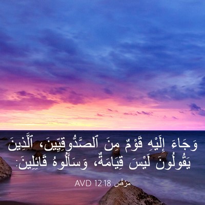 Picture 03 - مَرْقُس 12:18 AVD - وَجَاءَ إِلَيْهِ قَوْمٌ - Bible Verse Picture