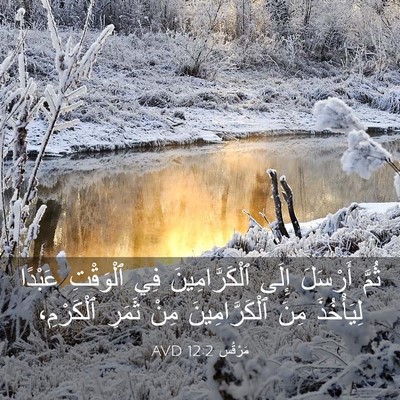 Picture 03 - مَرْقُس 12:2 AVD - ثُمَّ أَرْسَلَ إِلَى - Bible Verse Picture