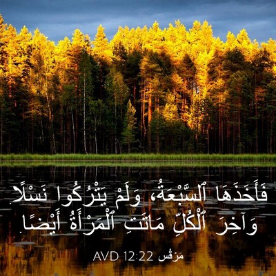 Picture 03 - مَرْقُس 12:22 AVD - فَأَخَذَهَا ٱلسَّبْعَةُ، - Bible Verse Picture