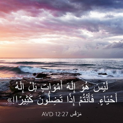 Picture 03 - مَرْقُس 12:27 AVD - لَيْسَ هُوَ إِلَهَ - Bible Verse Picture