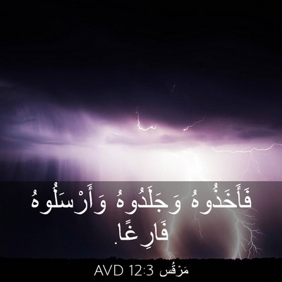 Picture 03 - مَرْقُس 12:3 AVD - فَأَخَذُوهُ وَجَلَدُوهُ - Bible Verse Picture