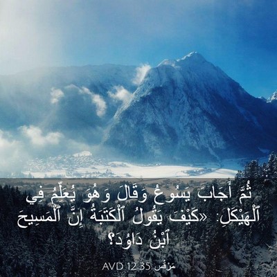 Picture 03 - مَرْقُس 12:35 AVD - ثُمَّ أَجَابَ يَسُوعُ - Bible Verse Picture