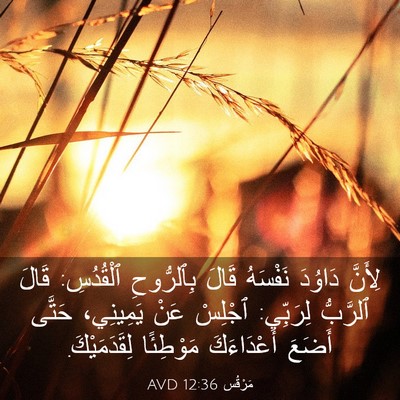 Picture 03 - مَرْقُس 12:36 AVD - لِأَنَّ دَاوُدَ نَفْسَهُ - Bible Verse Picture