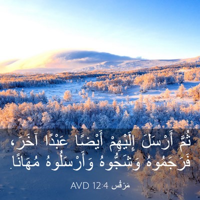 Picture 03 - مَرْقُس 12:4 AVD - ثُمَّ أَرْسَلَ إِلَيْهِمْ - Bible Verse Picture
