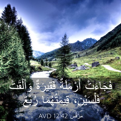 Picture 03 - مَرْقُس 12:42 AVD - فَجَاءَتْ أَرْمَلَةٌ - Bible Verse Picture