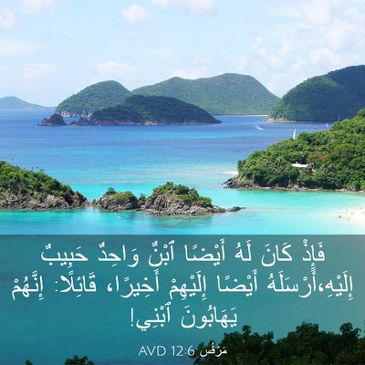 Picture 03 - مَرْقُس 12:6 AVD - فَإِذْ كَانَ لَهُ أَيْضًا - Bible Verse Picture