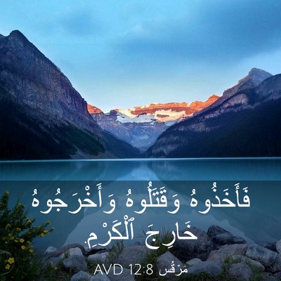 Picture 03 - مَرْقُس 12:8 AVD - فَأَخَذُوهُ وَقَتَلُوهُ - Bible Verse Picture