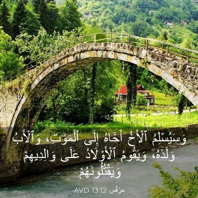 Picture 03 - مَرْقُس 13:12 AVD - وَسَيُسْلِمُ ٱلْأَخُ - Bible Verse Picture