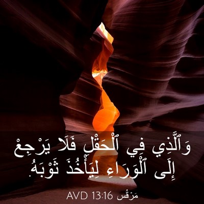 Picture 03 - مَرْقُس 13:16 AVD - وَٱلَّذِي فِي ٱلْحَقْلِ - Bible Verse Picture
