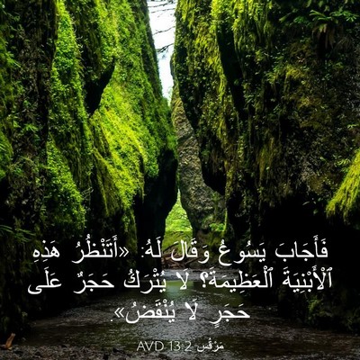 Picture 03 - مَرْقُس 13:2 AVD - فَأَجَابَ يَسُوعُ وَقَالَ - Bible Verse Picture
