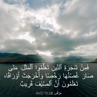 Picture 03 - مَرْقُس 13:28 AVD - فَمِنْ شَجَرَةِ ٱلتِّينِ - Bible Verse Picture