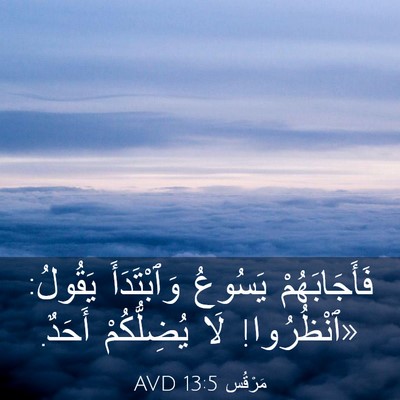 Picture 03 - مَرْقُس 13:5 AVD - فَأَجَابَهُمْ يَسُوعُ - Bible Verse Picture