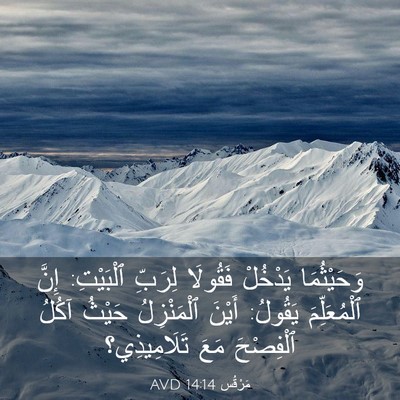 Picture 03 - مَرْقُس 14:14 AVD - وَحَيْثُمَا يَدْخُلْ - Bible Verse Picture