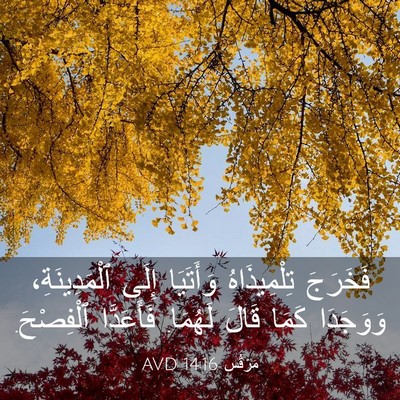 Picture 03 - مَرْقُس 14:16 AVD - فَخَرَجَ تِلْمِيذَاهُ - Bible Verse Picture