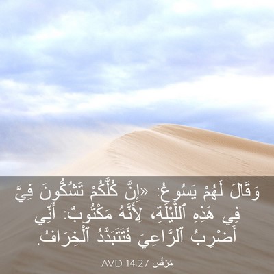 Picture 03 - مَرْقُس 14:27 AVD - وَقَالَ لَهُمْ يَسُوعُ: - Bible Verse Picture