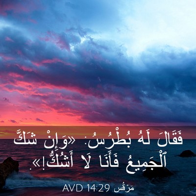 Picture 03 - مَرْقُس 14:29 AVD - فَقَالَ لَهُ بُطْرُسُ: - Bible Verse Picture