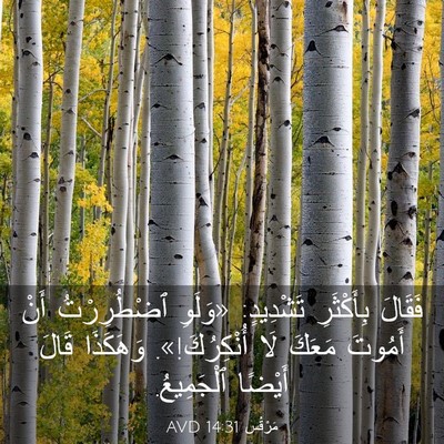 Picture 03 - مَرْقُس 14:31 AVD - فَقَالَ بِأَكْثَرِ - Bible Verse Picture