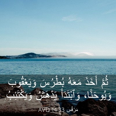 Picture 03 - مَرْقُس 14:33 AVD - ثُمَّ أَخَذَ مَعَهُ - Bible Verse Picture
