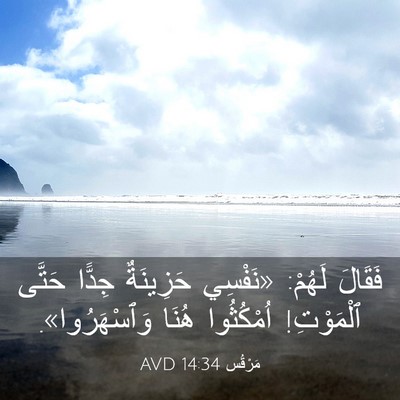 Picture 03 - مَرْقُس 14:34 AVD - فَقَالَ لَهُمْ: «نَفْسِي - Bible Verse Picture