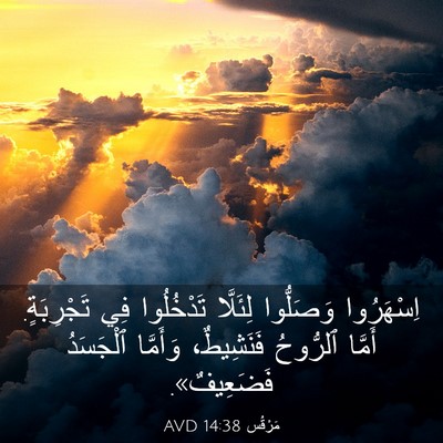 Picture 03 - مَرْقُس 14:38 AVD - اِسْهَرُوا وَصَلُّوا - Bible Verse Picture