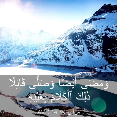 Picture 03 - مَرْقُس 14:39 AVD - وَمَضَى أَيْضًا وَصَلَّى - Bible Verse Picture