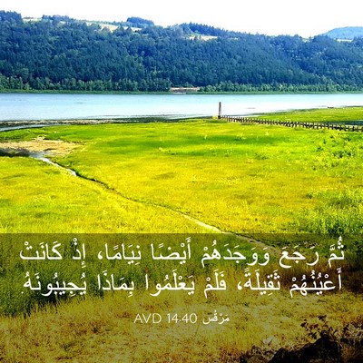 Picture 03 - مَرْقُس 14:40 AVD - ثُمَّ رَجَعَ وَوَجَدَهُمْ - Bible Verse Picture