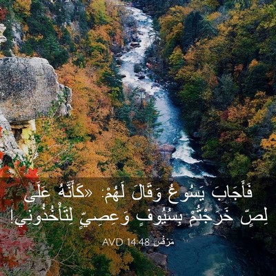 Picture 03 - مَرْقُس 14:48 AVD - فَأَجَابَ يَسُوعُ وَقَالَ - Bible Verse Picture