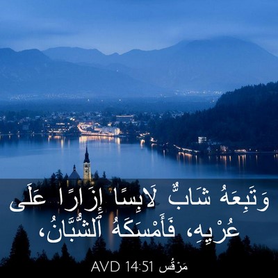 Picture 03 - مَرْقُس 14:51 AVD - وَتَبِعَهُ شَابٌّ - Bible Verse Picture