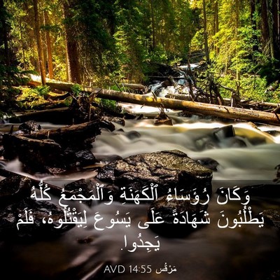 Picture 03 - مَرْقُس 14:55 AVD - وَكَانَ رُؤَسَاءُ - Bible Verse Picture
