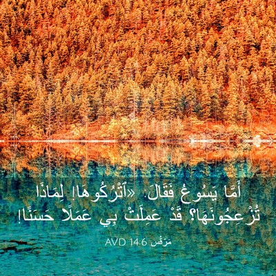 Picture 03 - مَرْقُس 14:6 AVD - أَمَّا يَسُوعُ فَقَالَ: - Bible Verse Picture