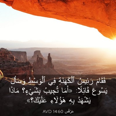 Picture 03 - مَرْقُس 14:60 AVD - فَقَامَ رَئِيسُ - Bible Verse Picture